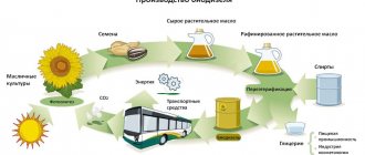 схема производства биодизеля